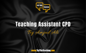 Teaching Assistant CPD